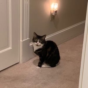 Can’t wait to see what’s in the closet!